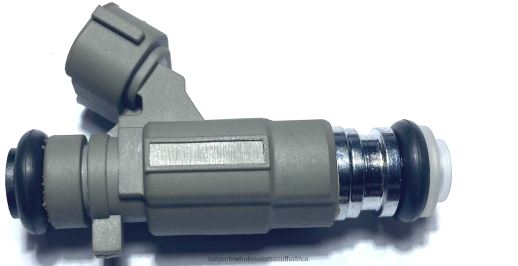 Car Parts South Africa Online - Fuel Injector 166005L700 B6T8421888