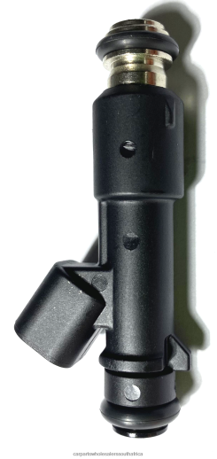 Car Parts South Africa Online - Fuel Injector 96493843 1571085Z10 B6T8422005